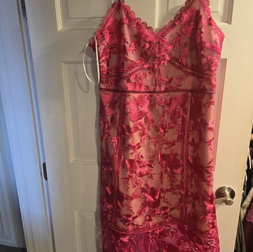Lulus Lace dress
